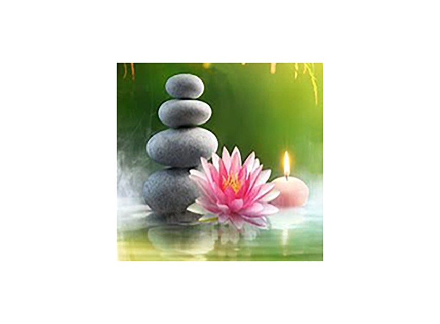 Mindful Meditation